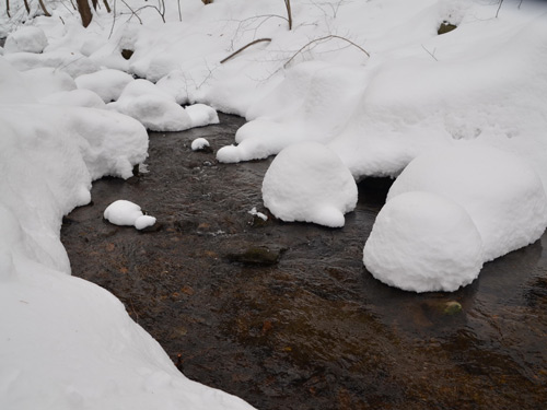 Foto Valea Izvorul Bulzului (c) Lucian Petru Goja